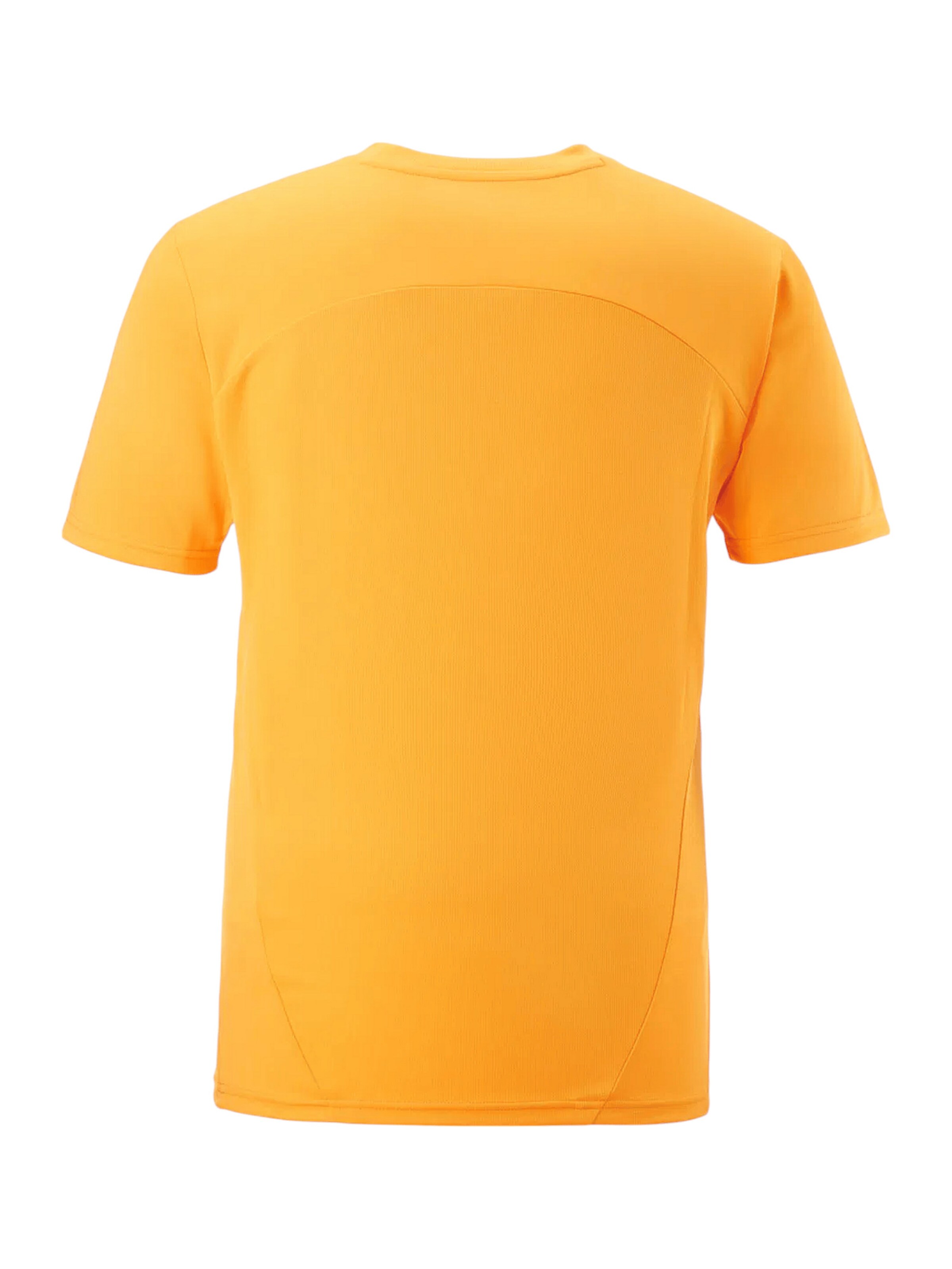 PUMA Jersey 'Galatasaray Istanbul' in Yellow