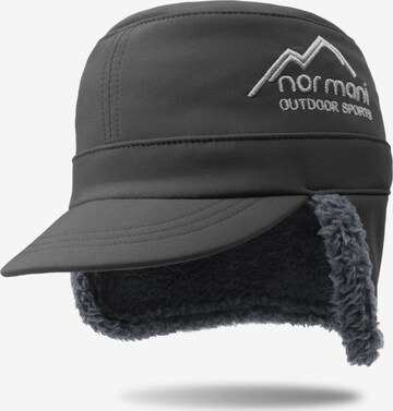 normani Beanie in Grey: front
