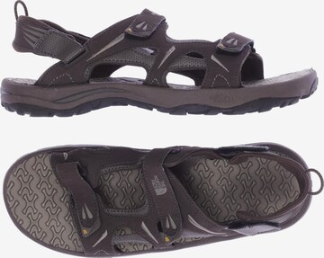 THE NORTH FACE Sandalen 45,5 in Braun: predná strana