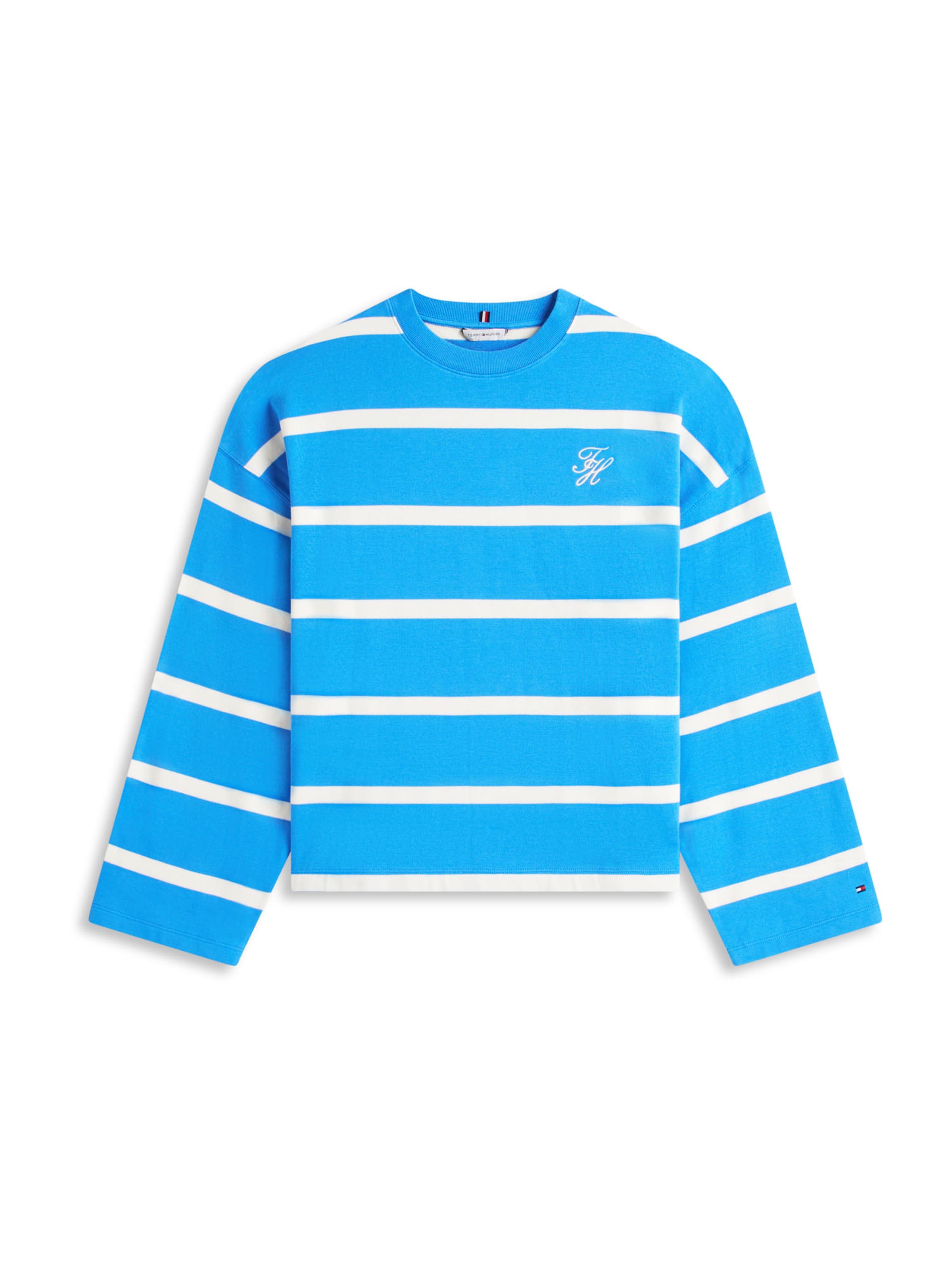 Tommy Hilfiger Curve Sweatshirt in Blue: front