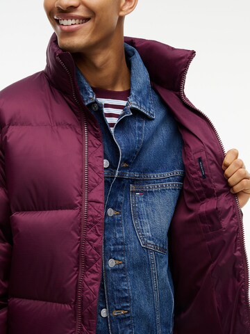 Tommy Jeans Winter jacket 'Alaska' in Purple