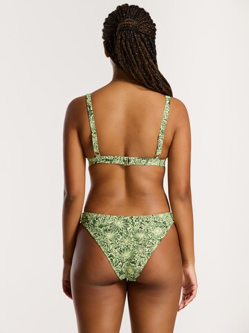 Shiwi Trikotni nedrčki Bikini 'Amy' | zelena barva