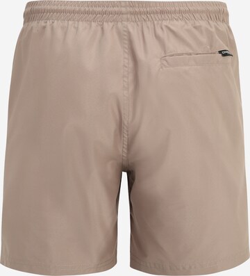 O'NEILL Board shorts 'CALI 16' in Brown