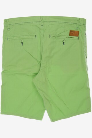 BENCH Shorts in 33 in Green