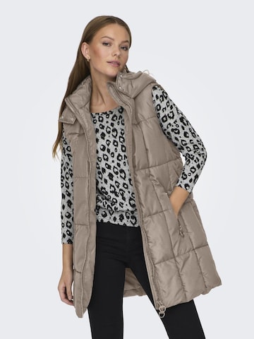 Gilet 'DAISY' JDY en gris : devant