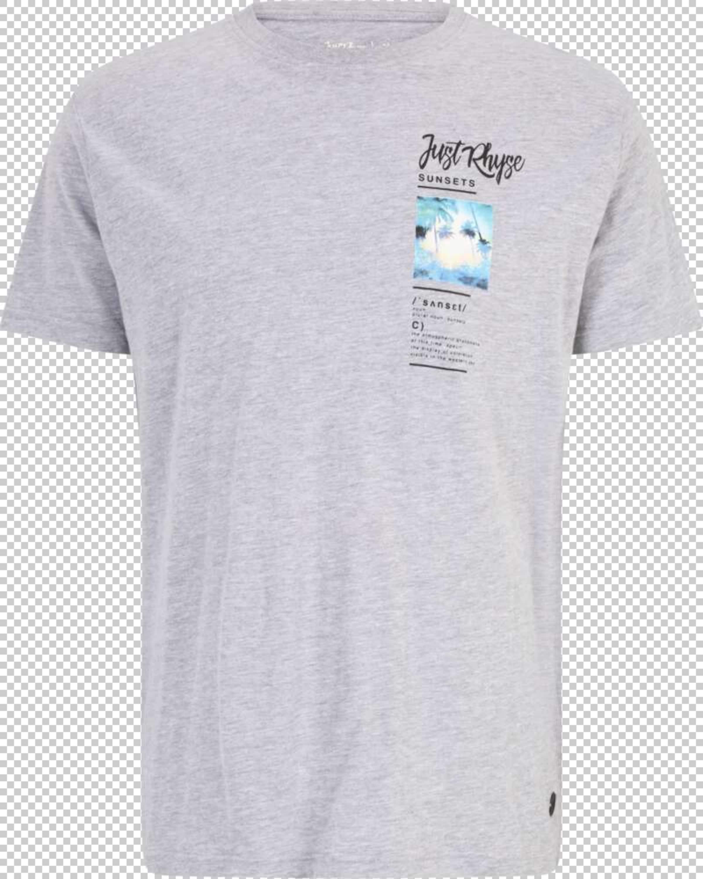 T-Shirt 'Zoar' Just Rhyse en gris : devant