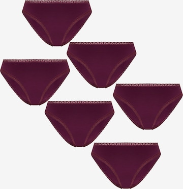 Albero Natur Panty 'Bio-Baumwoll-Slip mit Spitze – 6er Pack' in Purple: front
