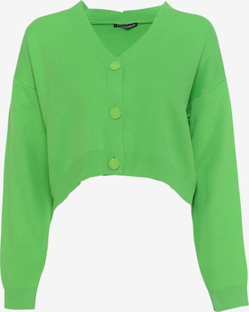 FRESHLIONS Knit Cardigan 'Aylen' in Green: front