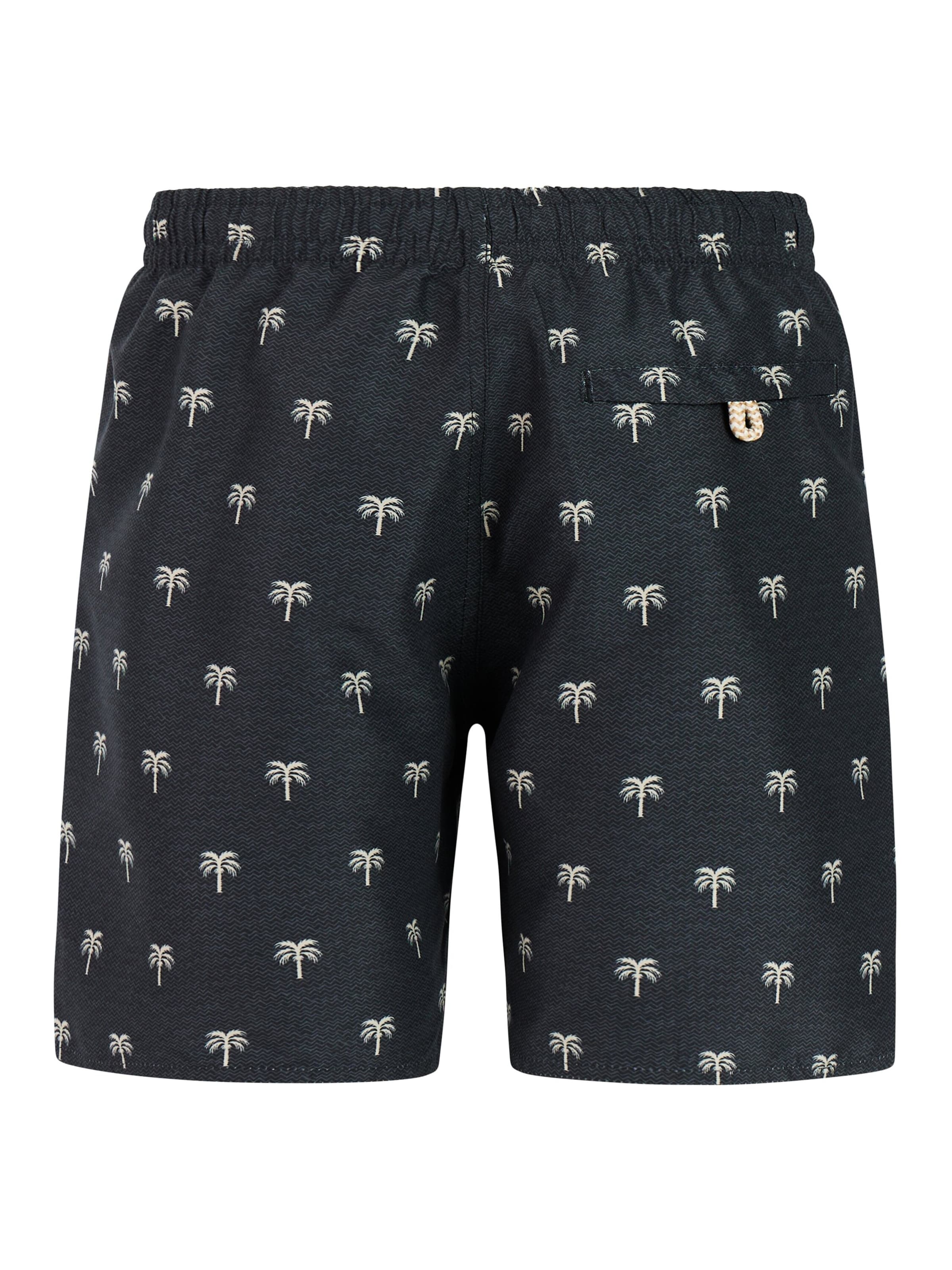 PROTEST Board Shorts 'PRTCalvin JR' in Black