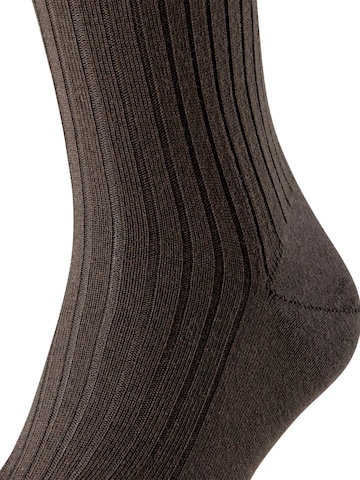 FALKE Knee High Socks 'Bristol Pure' in Brown
