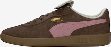 PUMA Sneaker 'Palermo' in Braun: Vorderseite