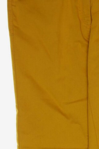 Walbusch Pants in XL in Orange