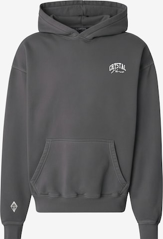 Crystal Paris Sweatshirt 'Nightwolf' in Grey: front