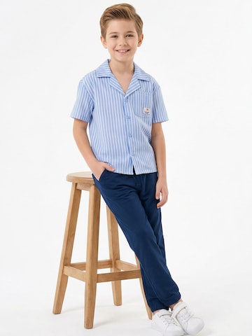 Trendyol Set in Blue
