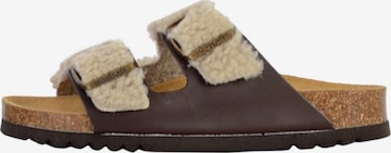 SCHOLL Pantolette in Grau: Vorderseite