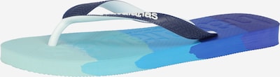 HAVAIANAS Séparateur d'orteils en bleu nuit / blanc, Vue avec produit