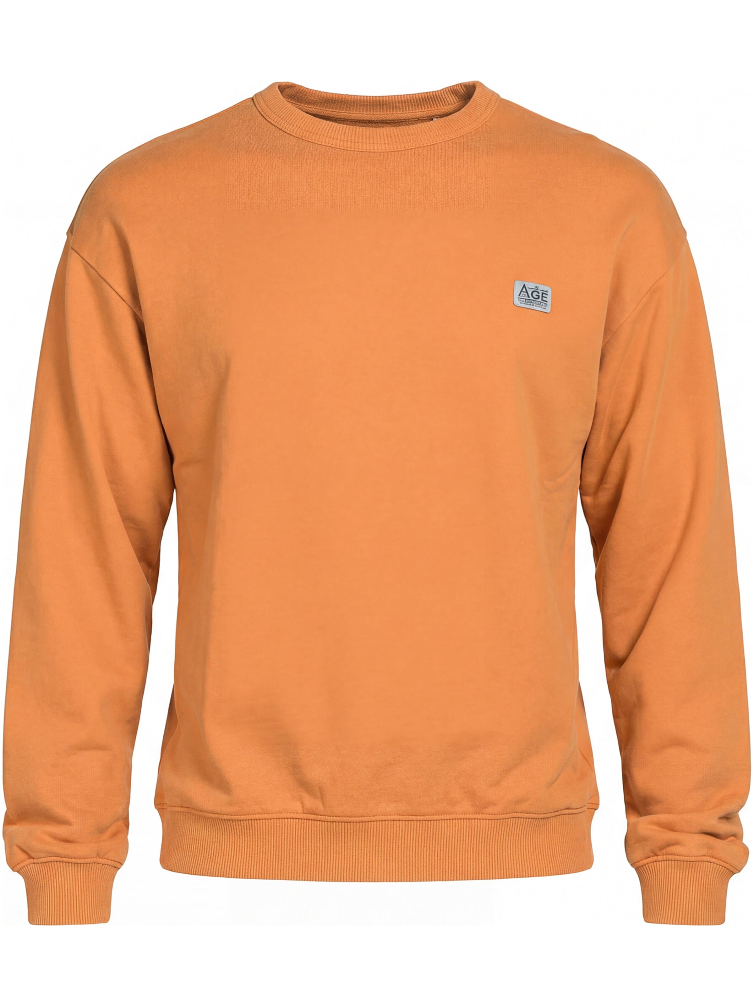 Carrera Jeans Sweatshirt 'Boxy Fit'‌‌‌‌‌‌ in Orange: Vorderseite