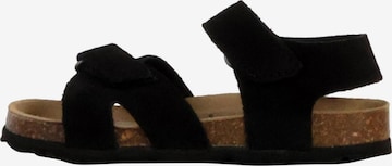 Chaussure basse 'Orion Scratch Leder-Pantoletten für Kinder' The Divine Factory en noir : devant