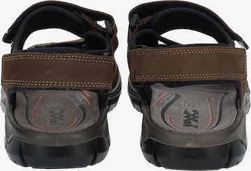 IMAC Hiking Sandals in Brown