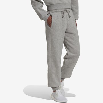 pilka ADIDAS SPORTSWEAR Siaurėjantis Sportinės kelnės 'All Szn Fleece'