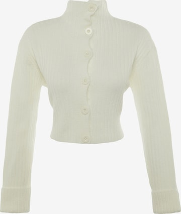 Trendyol Strickjacke in Beige: Vorderseite