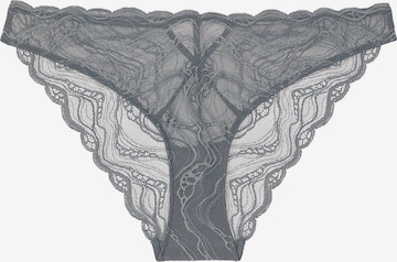 Slip 'INSTINCT' di Calvin Klein Underwear in grigio: frontale