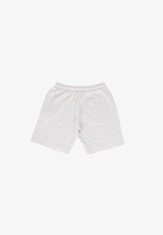 Dropsize - Loosefit Calças em cinzento
