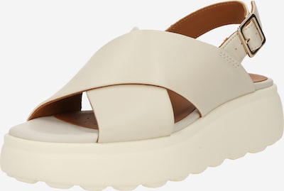 GEOX Sandal 'SPHERICA EC4.1' i beige, Produktvy