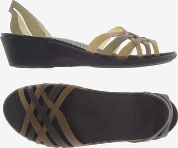 Crocs Sandals & High-Heeled Sandals in 39 in Brown: front