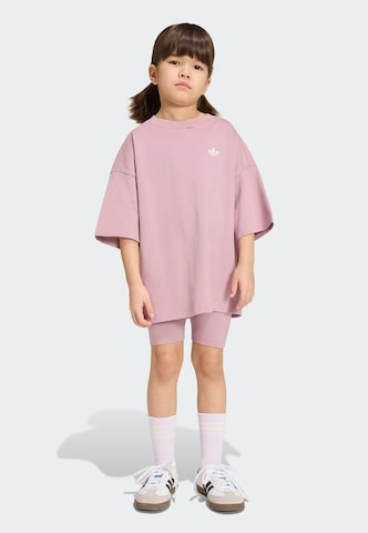 Set di ADIDAS ORIGINALS in lilla: frontale