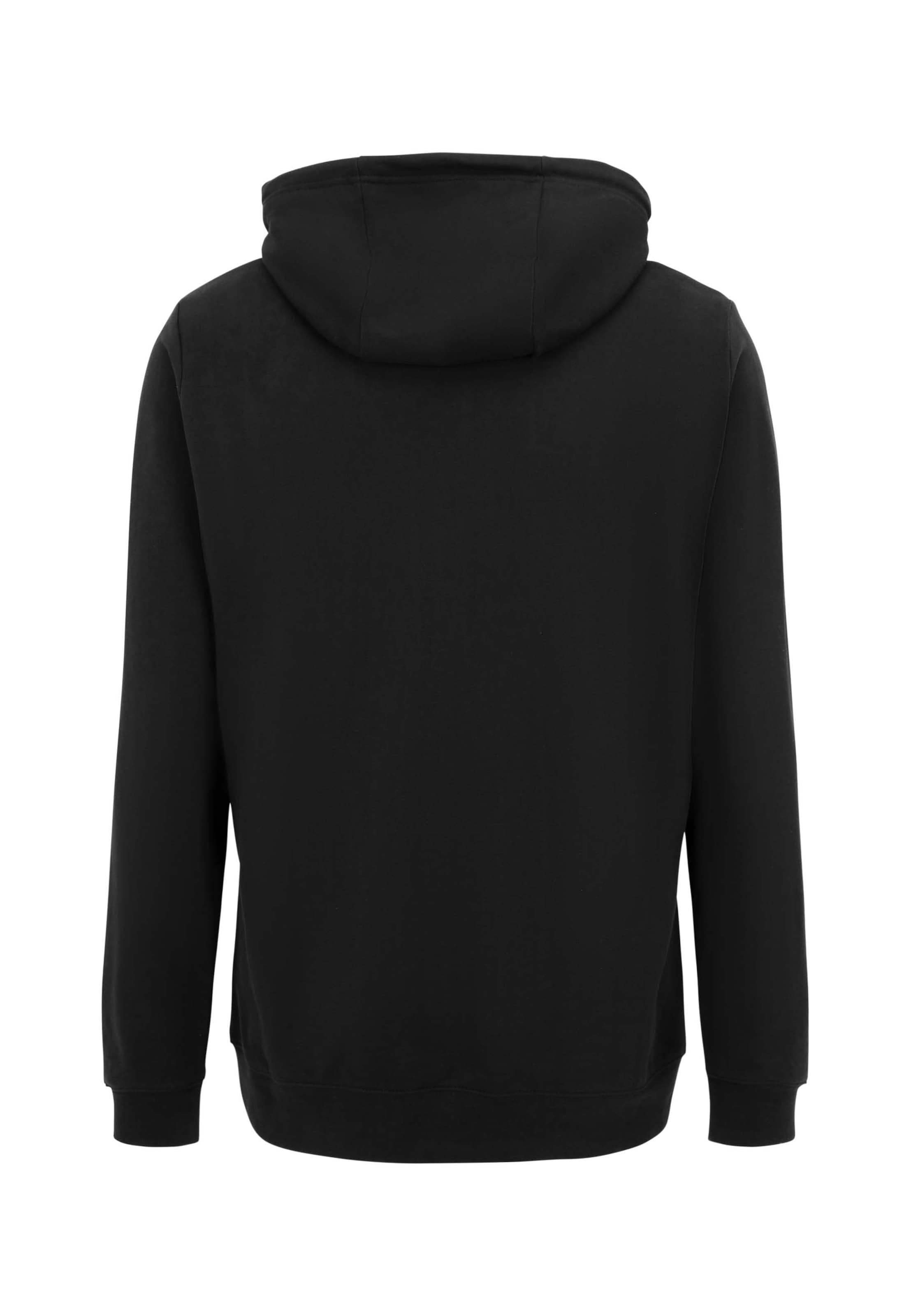 Oldskull Kapuzenpullover 'Wrldvibe Aurora Mountain Quest Graphic' in Schwarz