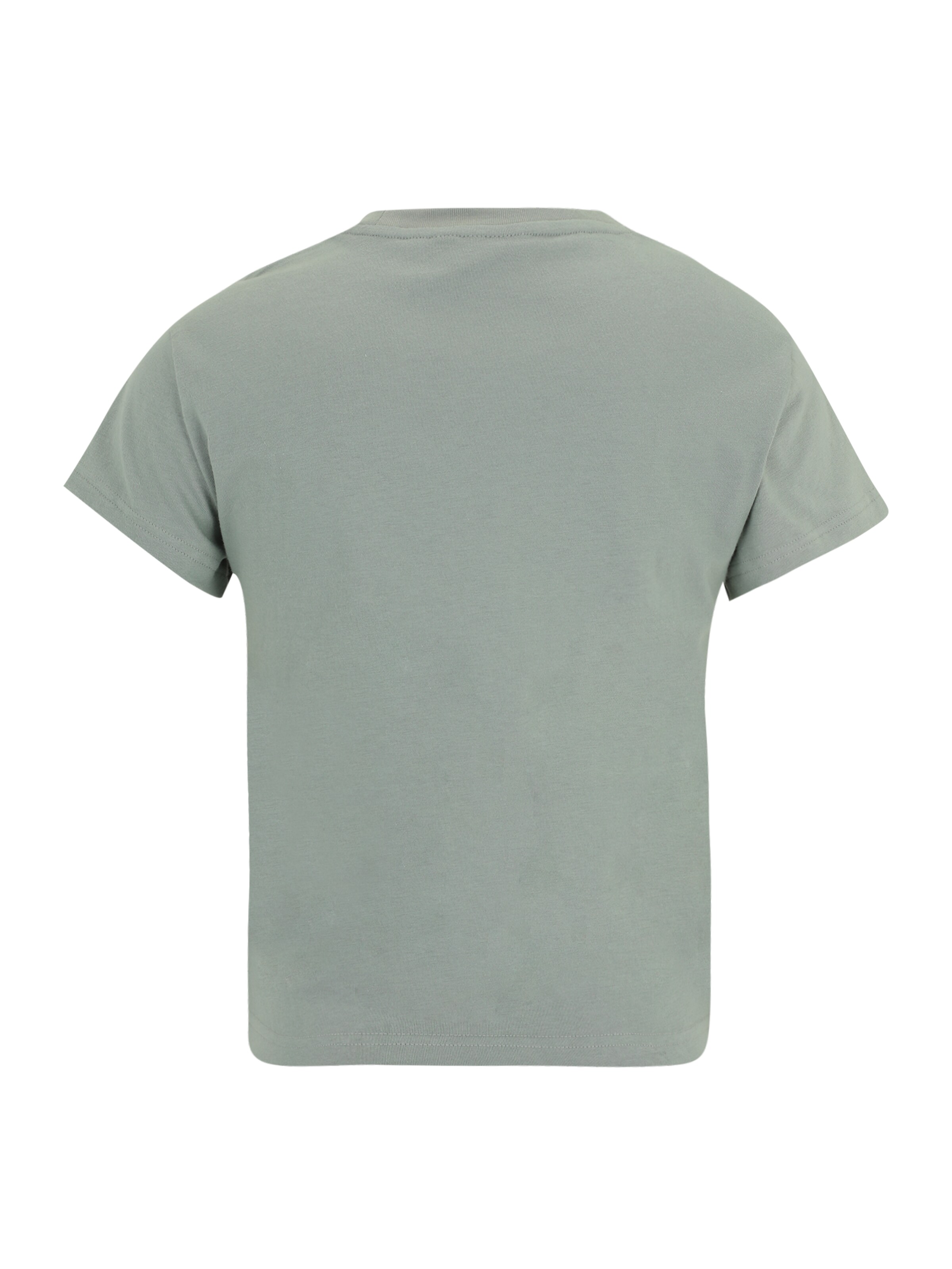 ADIDAS ORIGINALS T-shirt 'Essentials' i grön