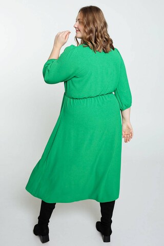 Paprika Dress in Green