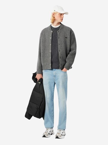 Pullover di LACOSTE in grigio