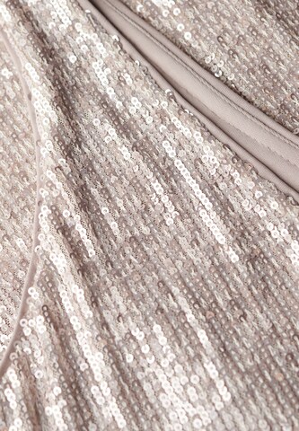 Superdry Jurk in Zilver