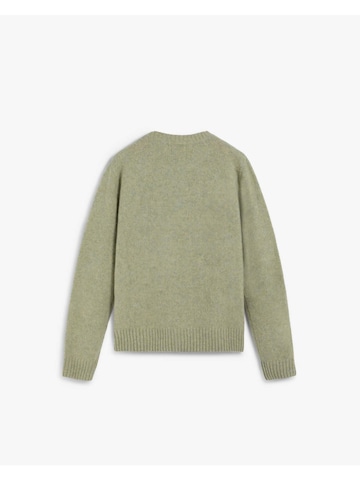 Scalpers Свитер в Зеленый