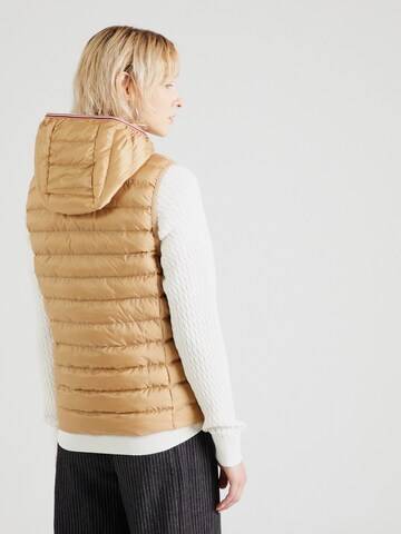 TOMMY HILFIGER Vest in Beige