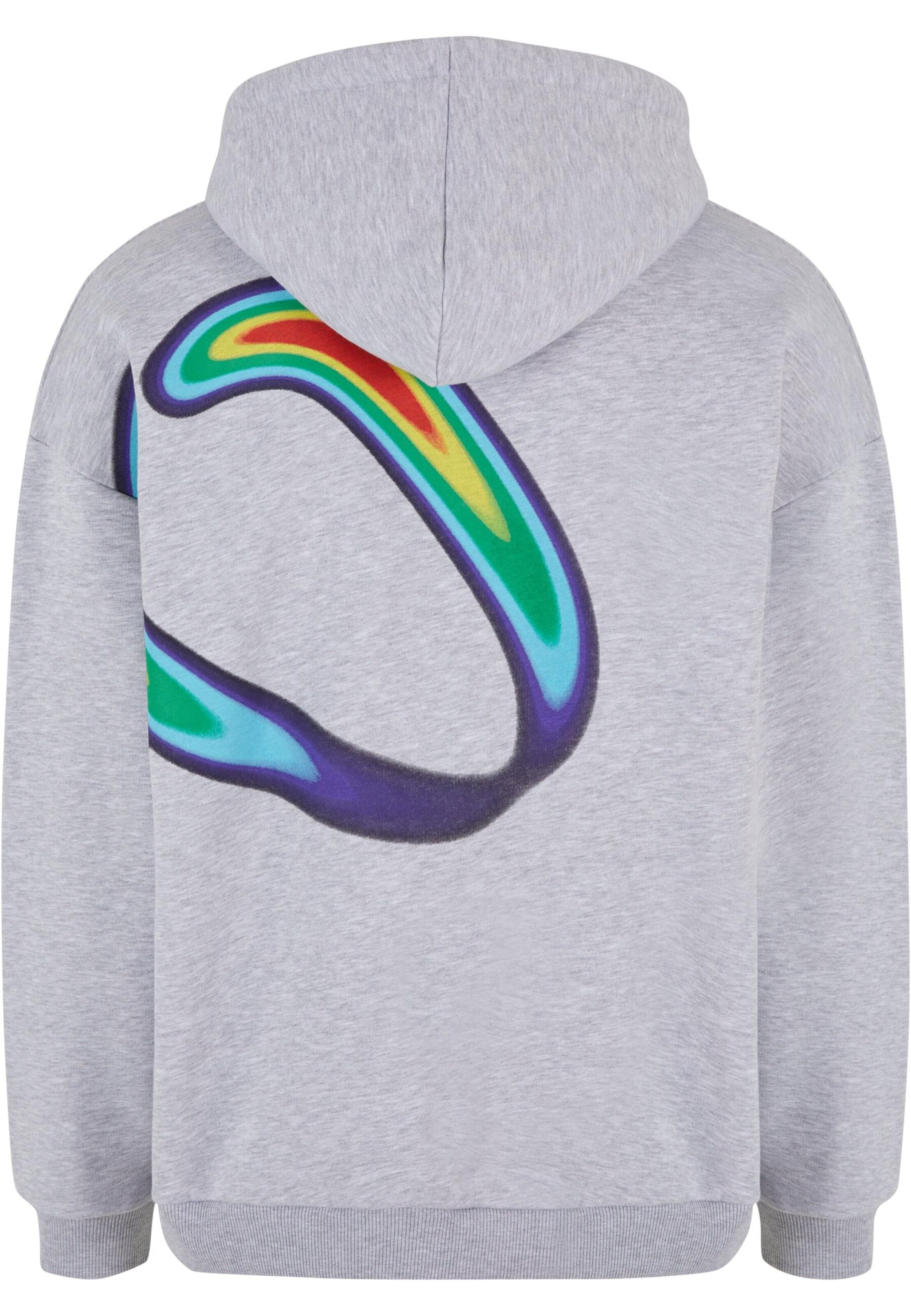 K1X Sweatshirt i grå