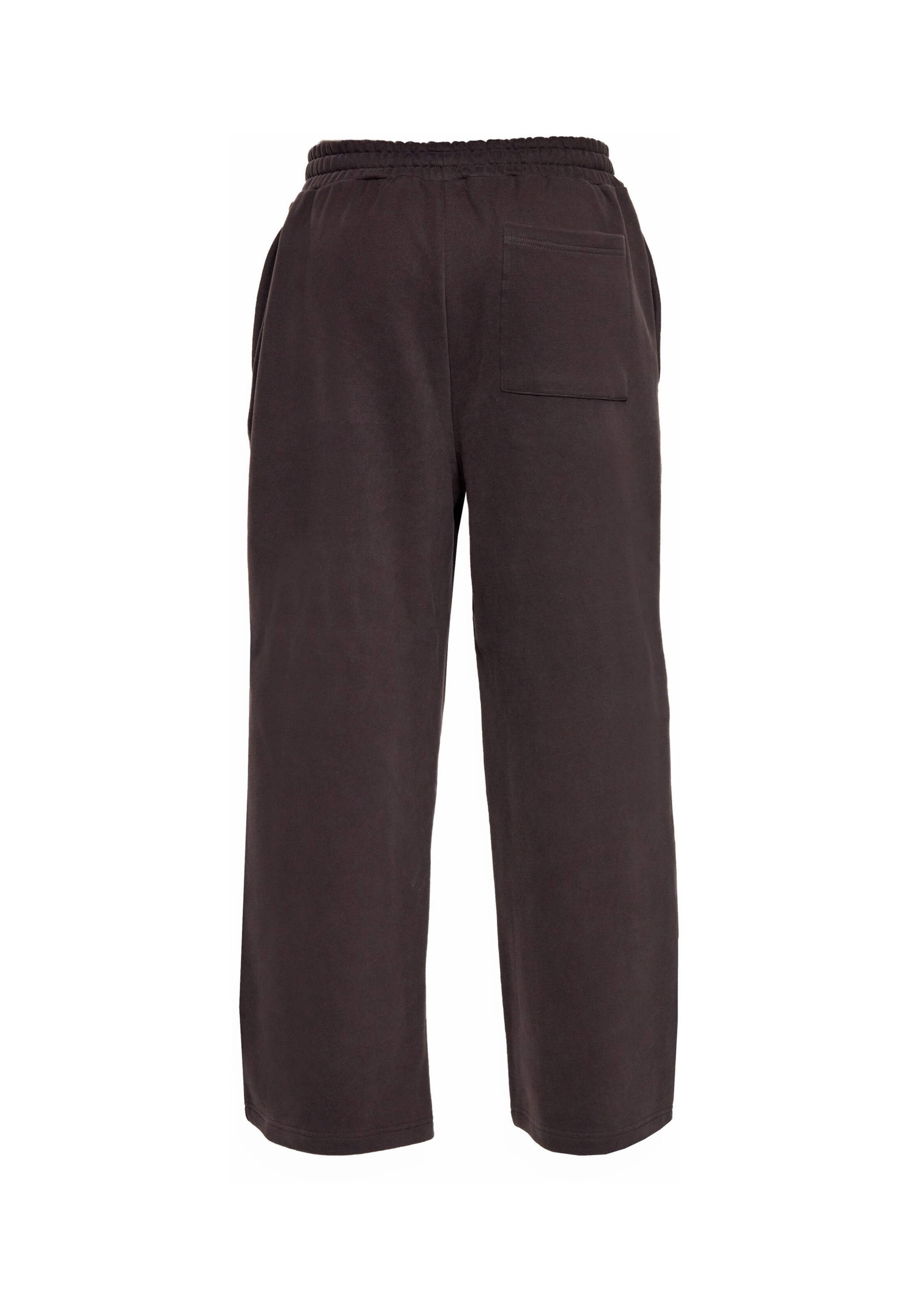 regular Pantaloni di Dropsize in marrone