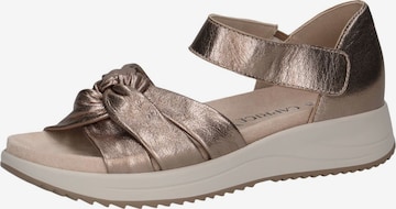 CAPRICE Sandale in Bronze: Vorderseite