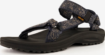 TEVA Sandals ' Winsted ' in Grey: front