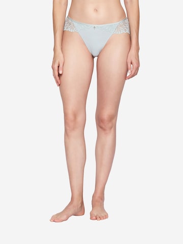 Slip ' Charming ' JOOP! en gris : devant