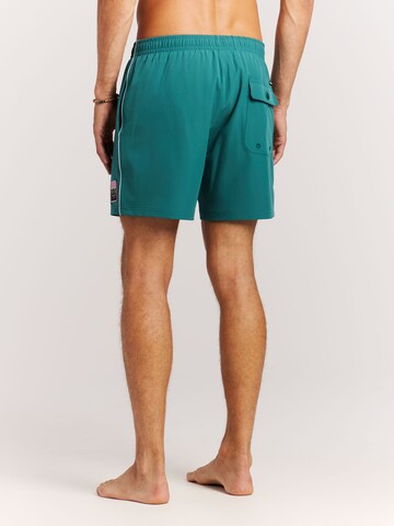 PROTEST Board Shorts 'PRTJayden' in Green