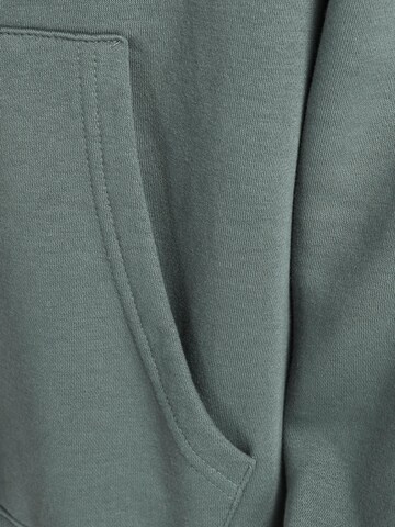 JACK & JONES Sweatshirt in Grün