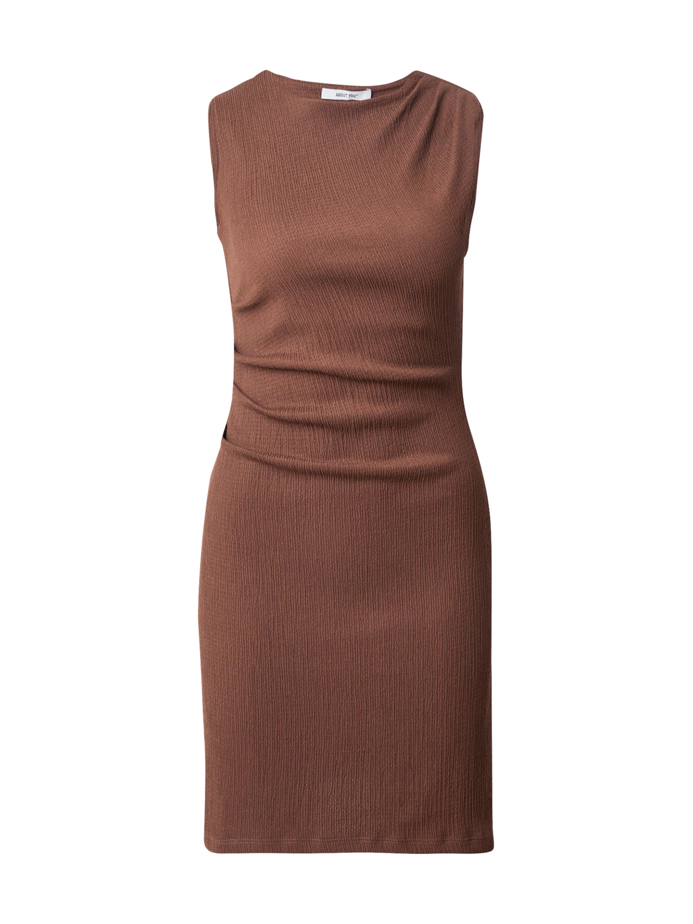 ABOUT YOU Kleid 'Rosa' in braun, Produktansicht