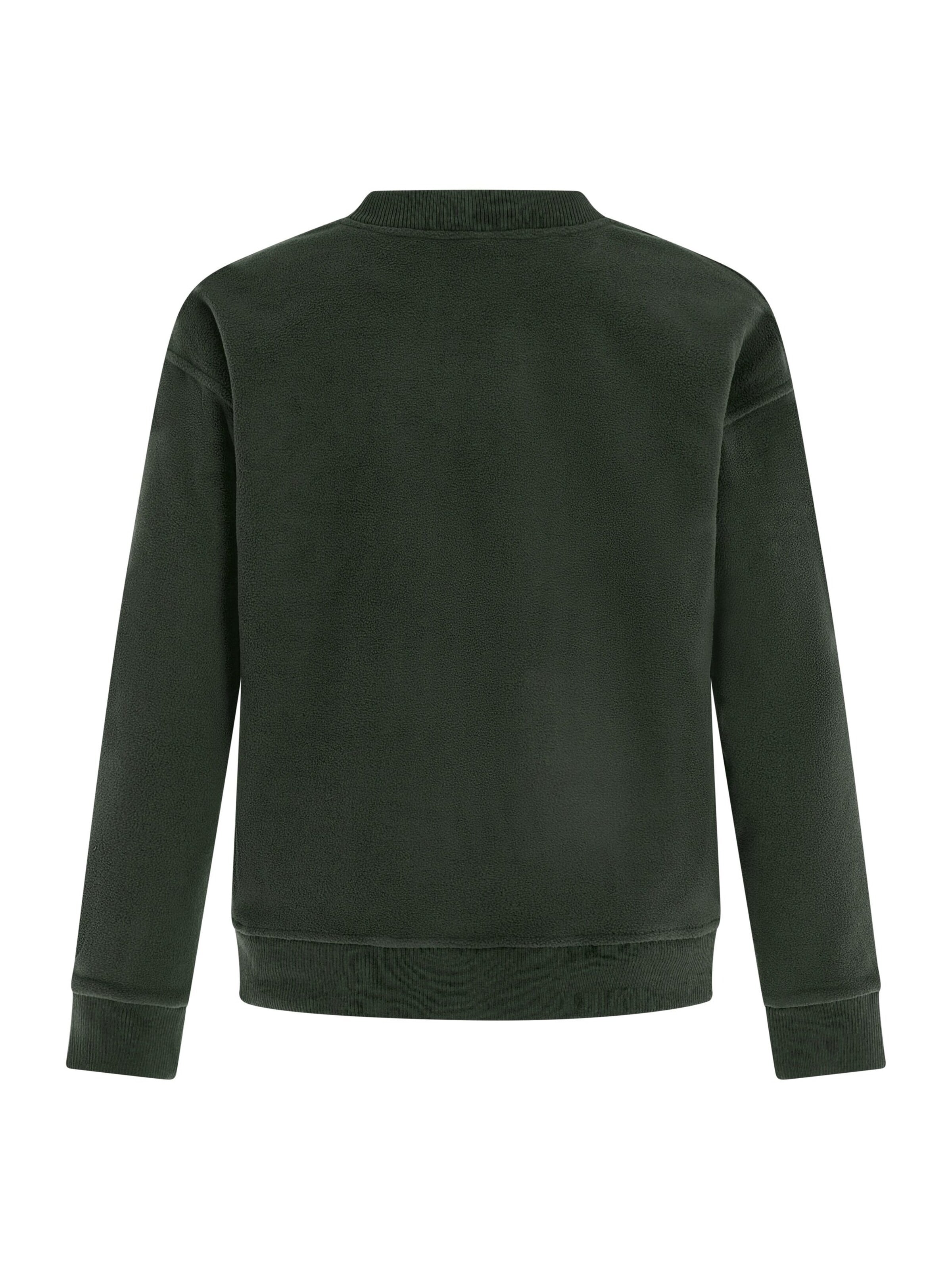 PROTEST Sweater 'PRTHawk' in Green