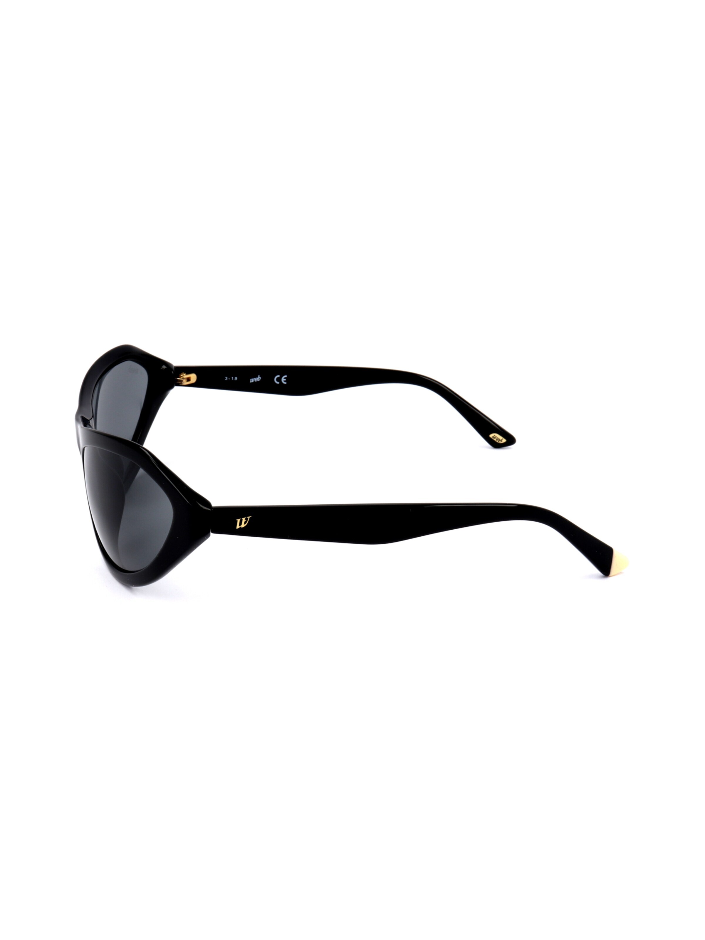 Occhiali da sole 'WE0288' di Web Eyewear in nero