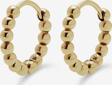 ESPRIT Earrings in Gold: front