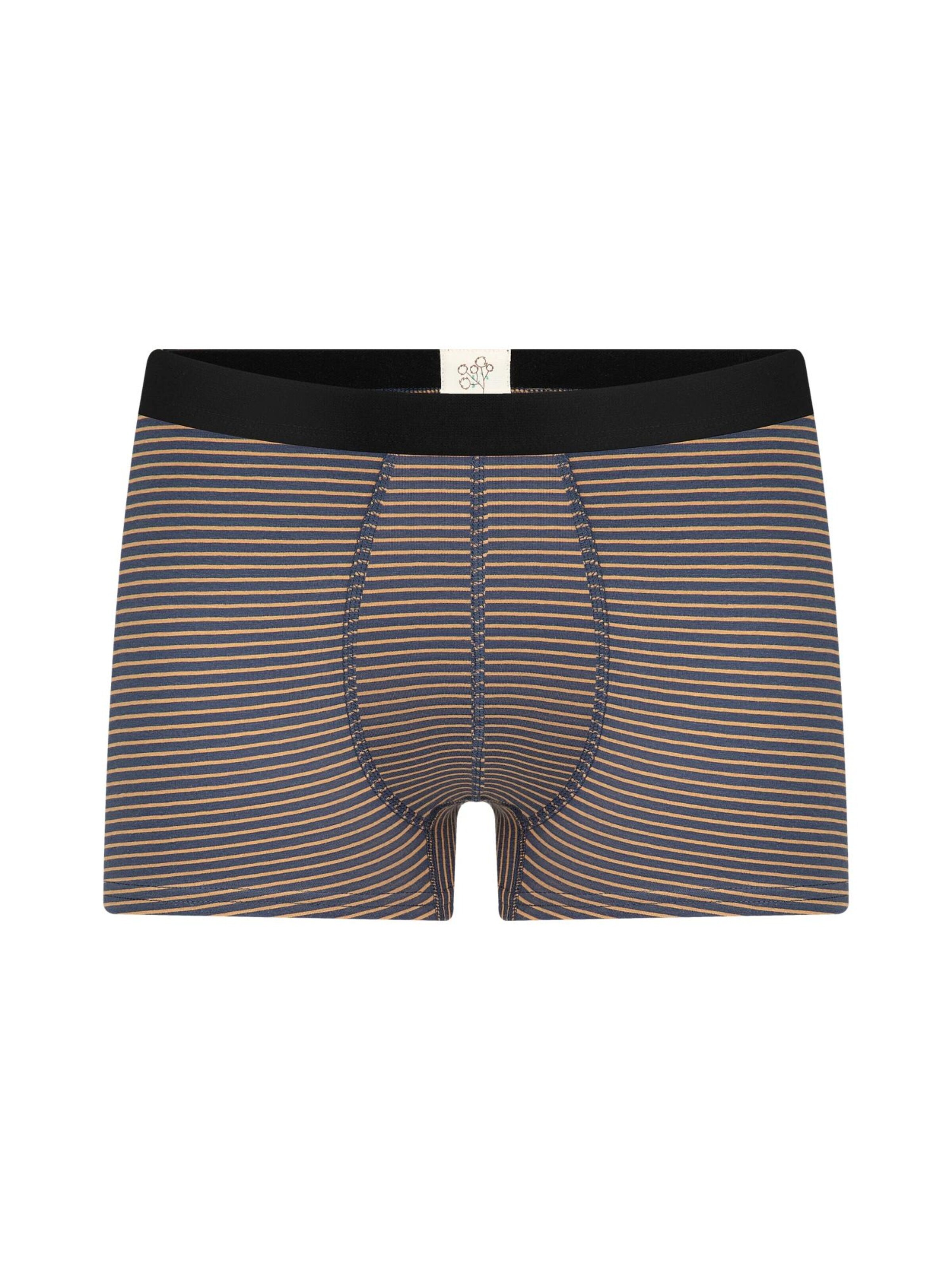 Albero Natur Boxer shorts 'Herren Boxershorts aus Bio-Baumwolle' in Blue: front