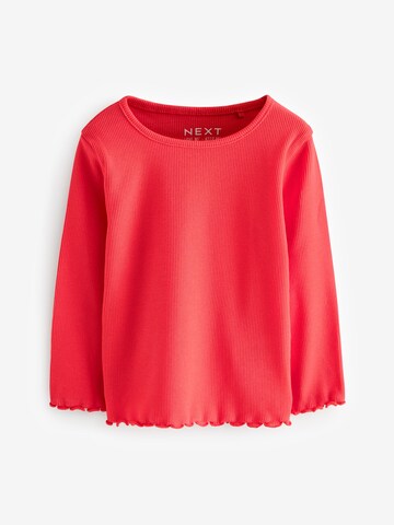 Next Shirt in Mischfarben
